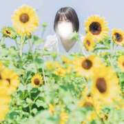 ヒメ日記 2025/08/27 08:09 投稿 涼宮 みお 癒しの円環～Art of Massage～五反田