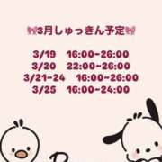 ヒメ日記 2026/03/17 00:00 投稿 のの ハニープラザ（ユメオト）