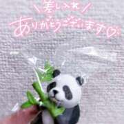 ヒメ日記 2025/07/07 04:12 投稿 なつめ 東京メンズボディクリニック TMBC 秋葉原店