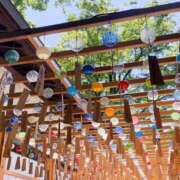 ヒメ日記 2025/07/24 16:00 投稿 なつめ 東京メンズボディクリニック TMBC 秋葉原店