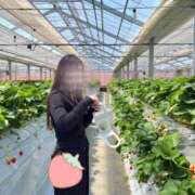 ヒメ日記 2025/05/02 12:33 投稿 れんげ 池袋コスプレサンシャイン（シンデレラグループ）