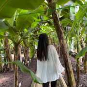 ヒメ日記 2025/06/01 10:54 投稿 れんげ 池袋コスプレサンシャイン（シンデレラグループ）