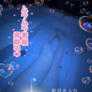 ヒメ日記 2025/05/09 19:52 投稿 紫月　るうな ノーパンパンスト スケベなOL梅田・兎我野店