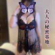 ヒメ日記 2026/03/21 23:59 投稿 紫月　るうな ノーパンパンスト スケベなOL梅田・兎我野店