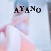 東條あやの 本日も・・・ サクラ（すすきの）