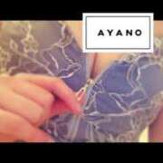 ヒメ日記 2026/01/29 00:18 投稿 東條あやの サクラ（すすきの）