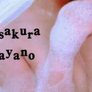 ヒメ日記 2026/02/12 00:18 投稿 東條あやの サクラ（すすきの）