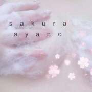 ヒメ日記 2026/02/14 16:27 投稿 東條あやの サクラ（すすきの）