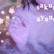 ヒメ日記 2026/02/15 21:48 投稿 東條あやの サクラ（すすきの）