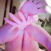 ヒメ日記 2026/03/01 12:12 投稿 東條あやの サクラ（すすきの）