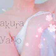 ヒメ日記 2026/03/06 00:18 投稿 東條あやの サクラ（すすきの）