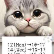 ヒメ日記 2025/05/09 16:55 投稿 小林　ゆみ しこたま奥様 札幌店