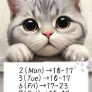 ヒメ日記 2025/06/01 17:55 投稿 小林　ゆみ しこたま奥様 札幌店