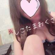 ヒメ日記 2025/06/03 10:35 投稿 小林　ゆみ しこたま奥様 札幌店