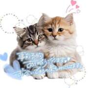 ヒメ日記 2025/08/08 22:05 投稿 小林　ゆみ しこたま奥様 札幌店