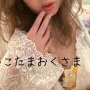 ヒメ日記 2025/09/08 11:17 投稿 小林　ゆみ しこたま奥様 札幌店