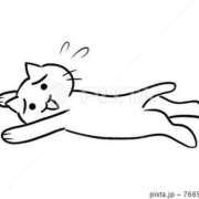 ヒメ日記 2025/11/14 07:45 投稿 小林　ゆみ しこたま奥様 札幌店