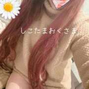 ヒメ日記 2026/01/26 10:15 投稿 小林　ゆみ しこたま奥様 札幌店