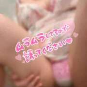 ヒメ日記 2026/02/07 12:36 投稿 小林　ゆみ しこたま奥様 札幌店