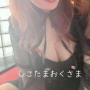 ヒメ日記 2026/04/26 10:27 投稿 小林　ゆみ しこたま奥様 札幌店
