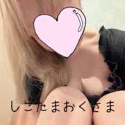ヒメ日記 2026/09/20 11:56 投稿 小林　ゆみ しこたま奥様 札幌店