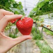 ヒメ日記 2025/04/23 23:19 投稿 広瀬あいみ 一夜妻