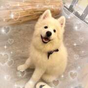 ヒメ日記 2025/05/31 16:19 投稿 広瀬あいみ 一夜妻