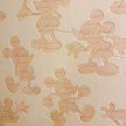 ヒメ日記 2025/06/03 15:59 投稿 広瀬あいみ 一夜妻