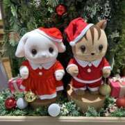 ヒメ日記 2025/12/22 12:19 投稿 広瀬あいみ 一夜妻