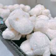 ヒメ日記 2026/02/01 16:39 投稿 広瀬あいみ 一夜妻