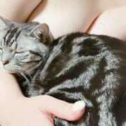 ヒメ日記 2025/05/02 17:53 投稿 ゆいにゃん One More 奥様　錦糸町店