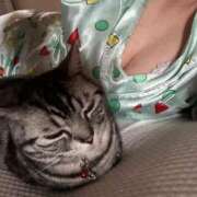 ヒメ日記 2025/05/15 15:23 投稿 ゆいにゃん One More 奥様　錦糸町店