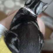 ヒメ日記 2025/05/29 15:43 投稿 ゆいにゃん One More 奥様　錦糸町店