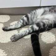 ヒメ日記 2025/07/19 09:18 投稿 ゆいにゃん One More 奥様　錦糸町店