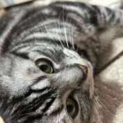 ヒメ日記 2025/09/28 04:13 投稿 ゆいにゃん One More 奥様　錦糸町店