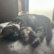 ヒメ日記 2025/10/21 17:55 投稿 ゆいにゃん One More 奥様　錦糸町店