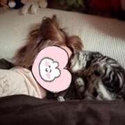 ゆいにゃん 🤍：冬が好き One More 奥様　錦糸町店