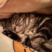 ヒメ日記 2025/12/30 09:03 投稿 ゆいにゃん One More 奥様　錦糸町店