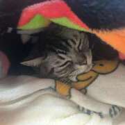 ヒメ日記 2026/03/02 21:44 投稿 ゆいにゃん One More 奥様　錦糸町店