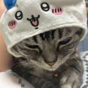 ヒメ日記 2026/03/04 11:23 投稿 ゆいにゃん One More 奥様　錦糸町店