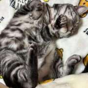 ヒメ日記 2026/04/23 16:45 投稿 ゆいにゃん One More 奥様　錦糸町店