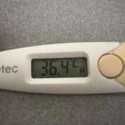 ヒメ日記 2025/04/24 14:30 投稿 ミズキ(奥方） 奥様幕府