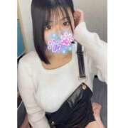 ヒメ日記 2025/04/25 03:52 投稿 ミズキ(奥方） 奥様幕府