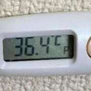 ヒメ日記 2025/04/25 13:35 投稿 ミズキ(奥方） 奥様幕府