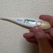 ヒメ日記 2025/04/26 13:37 投稿 ミズキ(奥方） 奥様幕府