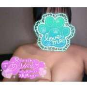 ヒメ日記 2025/04/27 16:57 投稿 ミズキ(奥方） 奥様幕府