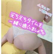 ヒメ日記 2025/04/27 21:16 投稿 ミズキ(奥方） 奥様幕府