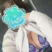 ヒメ日記 2025/04/28 04:28 投稿 ミズキ(奥方） 奥様幕府