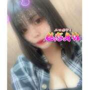 ヒメ日記 2025/05/29 17:38 投稿 ミズキ(奥方） 奥様幕府