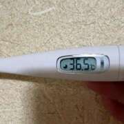 ヒメ日記 2025/06/04 13:07 投稿 ミズキ(奥方） 奥様幕府